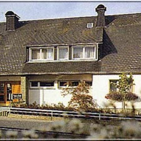 Pension Braun Winterberg Buitenkant foto